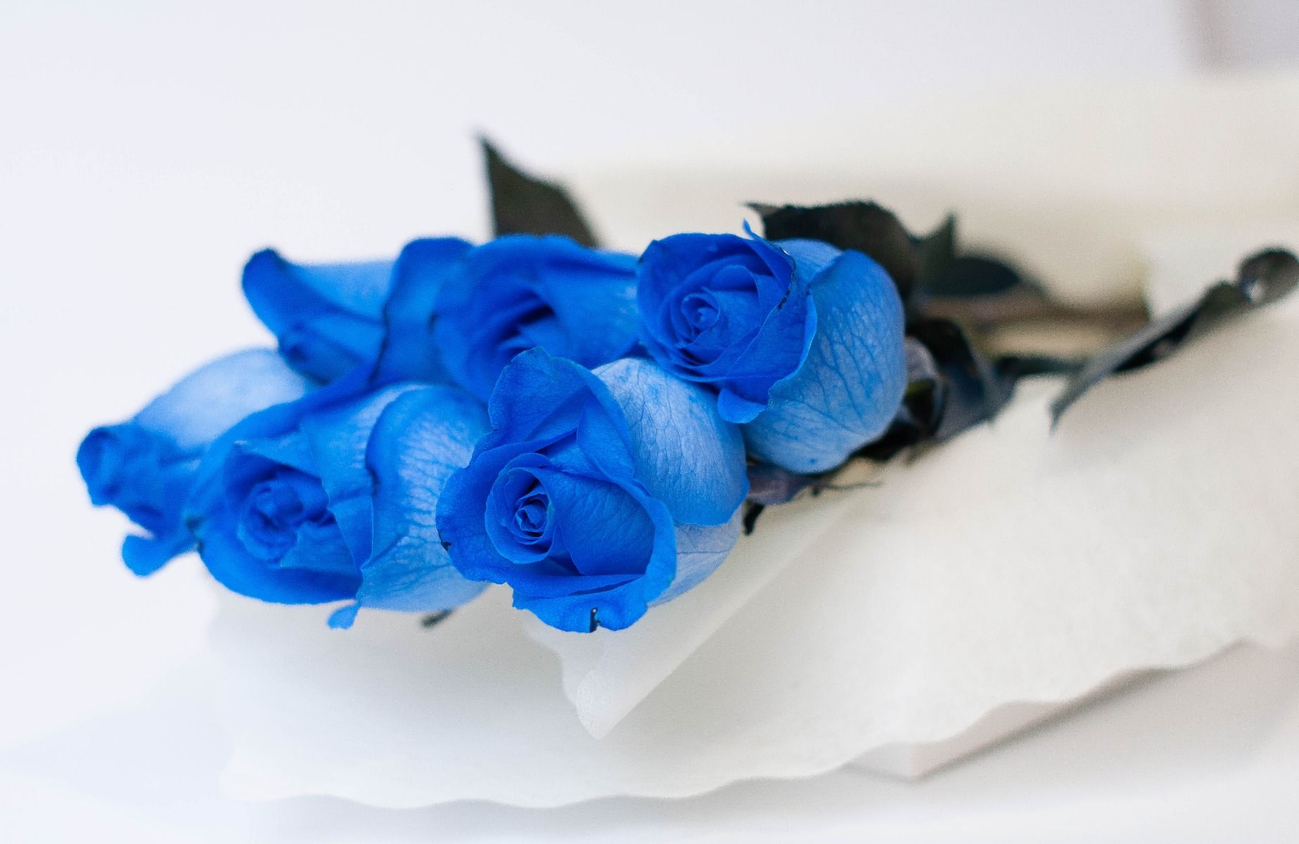 Caja de 6 Rosas Azules y Bombones Hershey´s F127 | FLORES Y BOMBONES